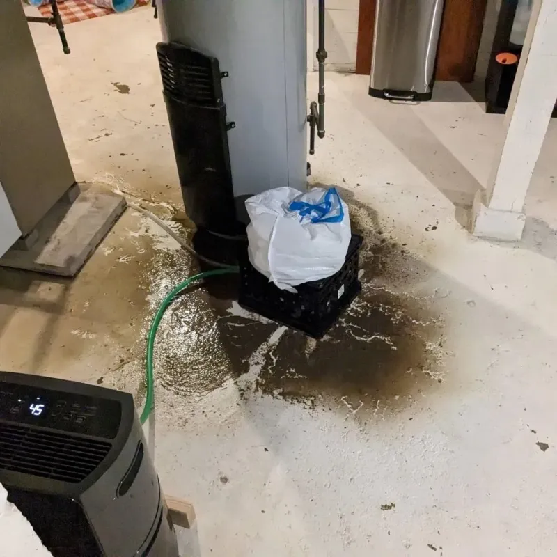 Sewage Backup Cleanup Service in Bourbon, MO